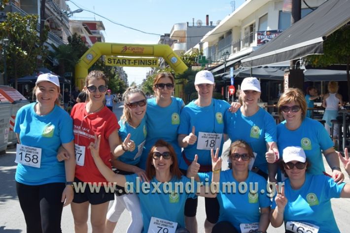 alexandriamou_1_alexandrinos_dromos043